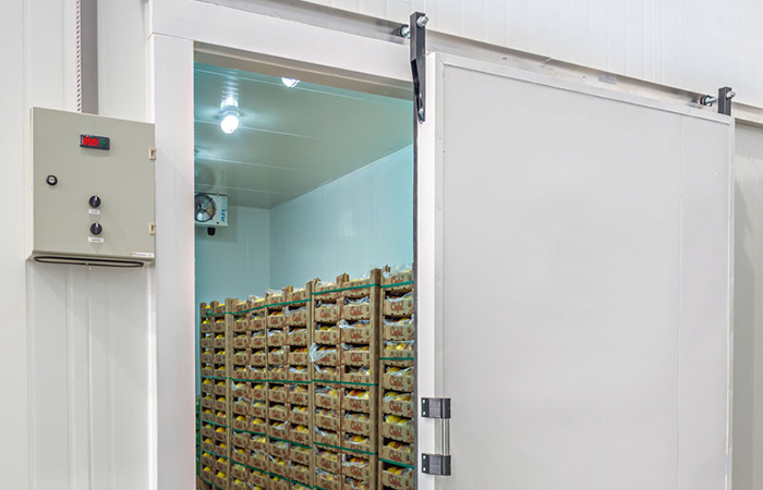 Imagem do portfólio